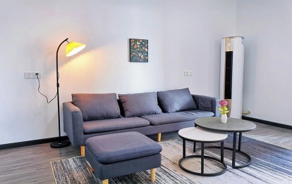 【思安】拾贰·北欧精装修三居室|俯瞰湖景|荷兰风情园|森林公园|武汉